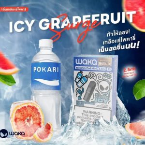 Waka Icy Grapefruit Surge